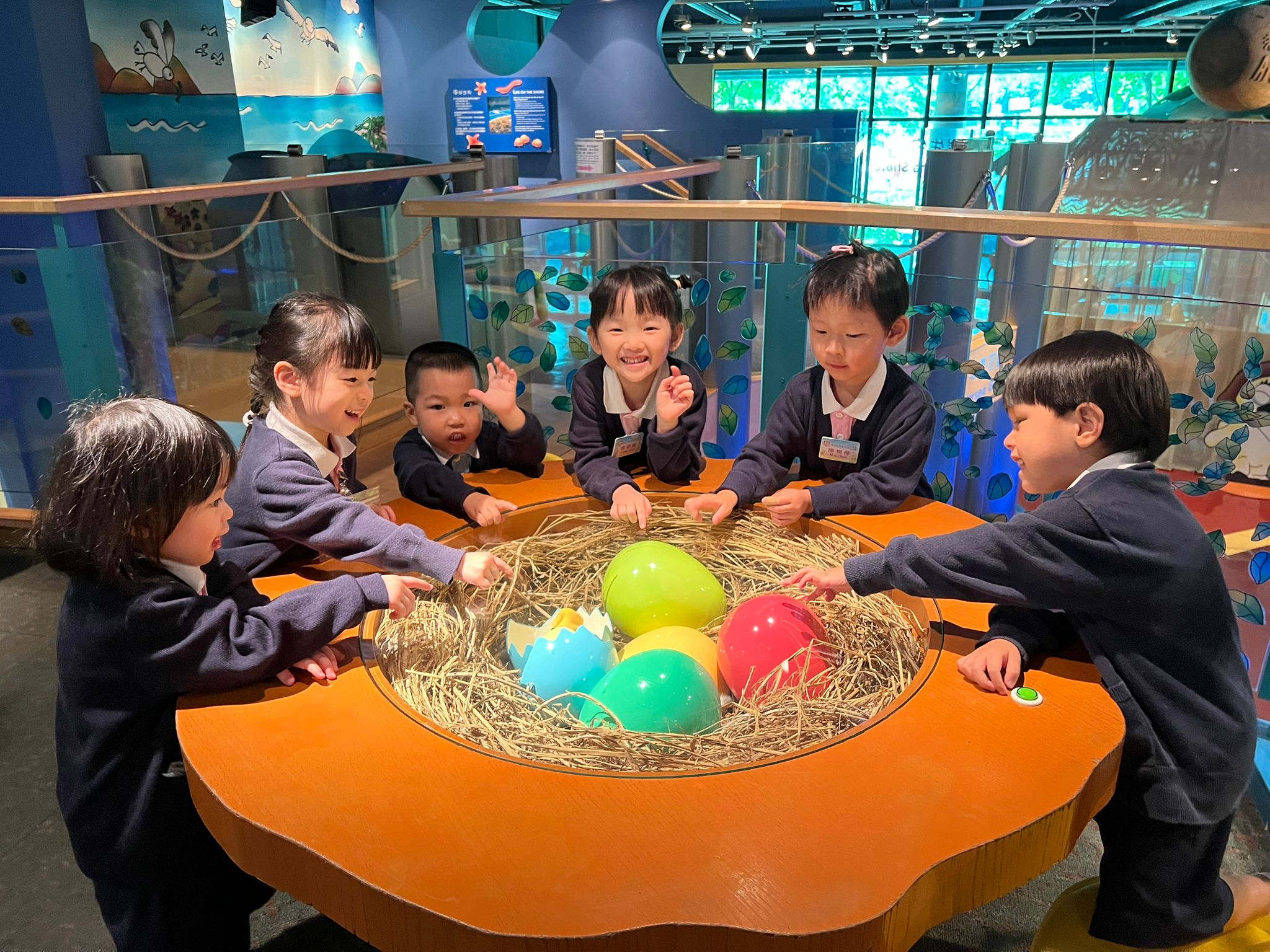 20250619 幼兒班參觀香港兒童探知館
