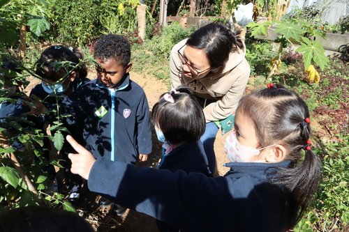 Constitution of Parent-Teacher Association