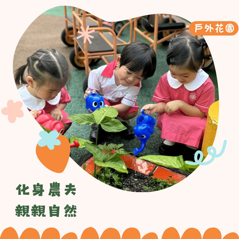 保良局吳多泰幼稚園—沙田