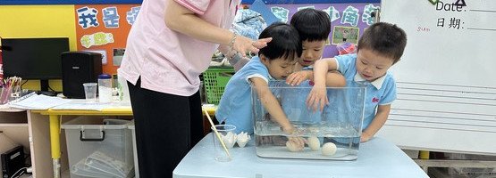 朱李月华幼稚园暨幼儿园 - 相簿 (04-29.08.2025 专题活动)