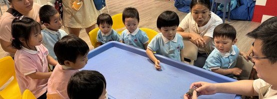 朱李月华幼稚园暨幼儿园 - 相簿 (02.06.2025 N+K1亲子参观金鱼探索馆)