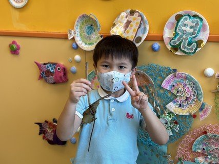 Dragon Boat Festival 