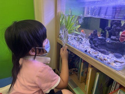 Group A Project study_Fish