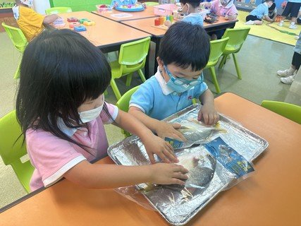 Group A Project study_Fish