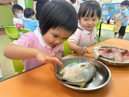 Group A Project study_Fish