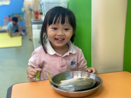 Group A Project study_Fish