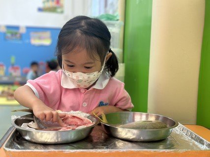 Group A Project study_Fish