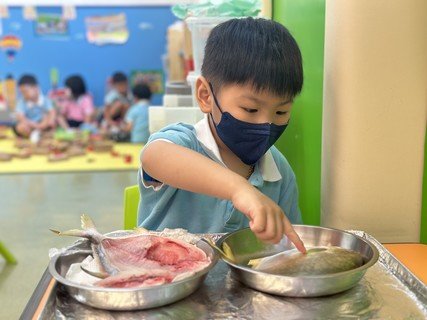 Group A Project study_Fish