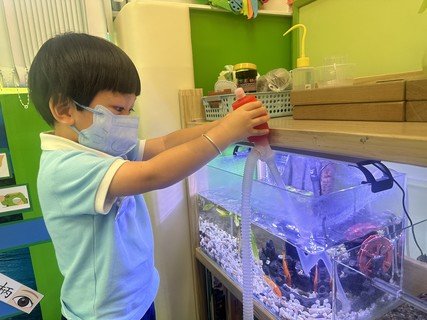 Group A Project study_Fish