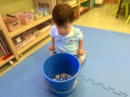 Group A Project study_Fish