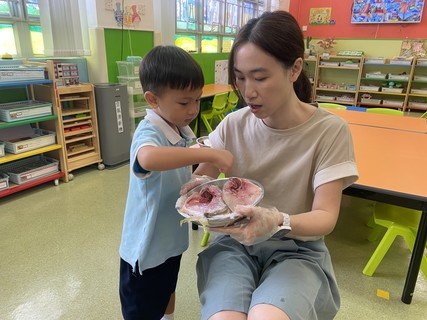 Group A Project study_Fish