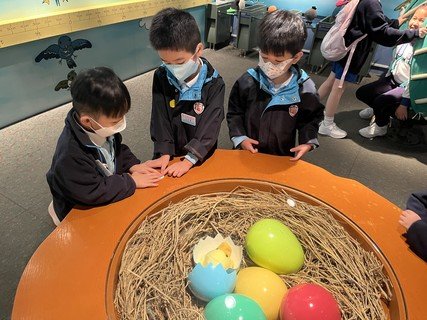 Visit the Hong Kong Heritage Museum