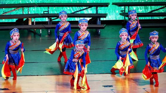 属校幼小学生以武术、舞龙、鼓乐等表演，向公众展示中华文化艺术的优越。