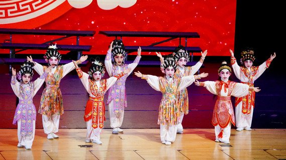 屬校幼小學生以武術、舞龍、鼓樂等表演，向公眾展示中華文化藝術的優越。