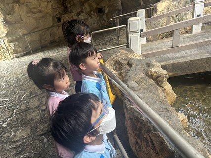 Visit Fung Tak Park , Ambulance Depot ,Yum Cha Activity