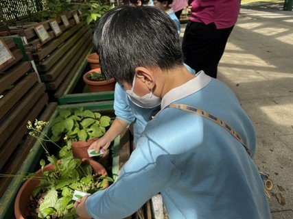 2024.12.4 Lions Nature Education Centre