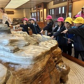 嘩!這些石頭好特別啊! 