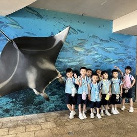 咁大條魔鬼魚嘅！！！