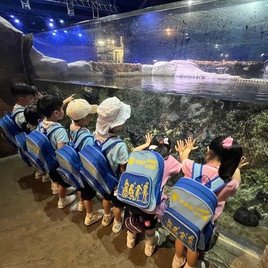 好多魚啊！佢哋游嘅方向唔一樣！
