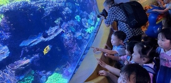 呢條係熱帶魚。