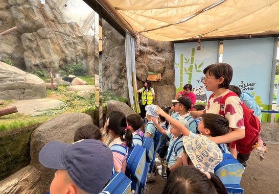 嘩！原來熊貓住係呢到㗎！