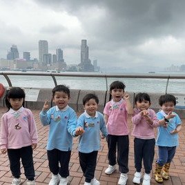 我們看到很多不同的船。