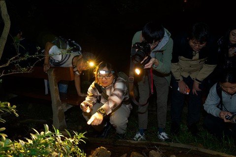 计划为大专生学员提供结合生态考察及创意教育的观察员培训课程，转化青年对鲜为人认知或喜爱物种的印象。